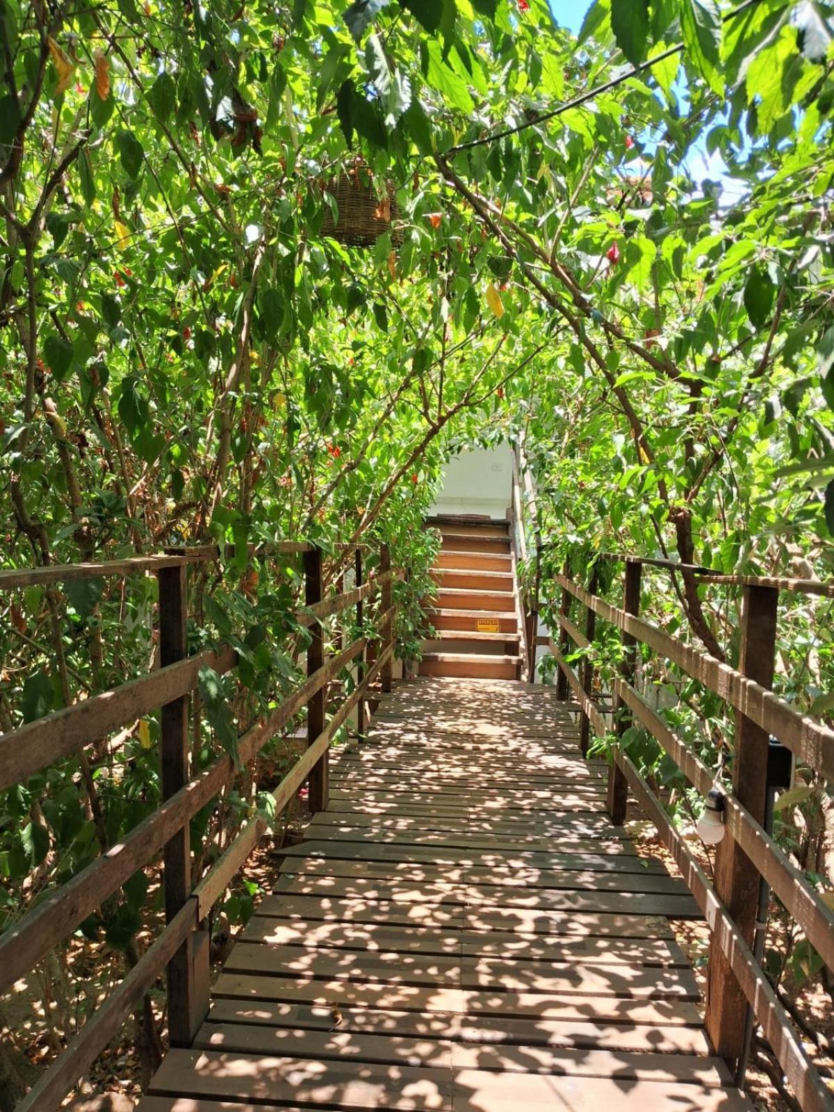 Maiga Pousada- Casa Do Marcelino Fernando de Noronha Eksteriør billede