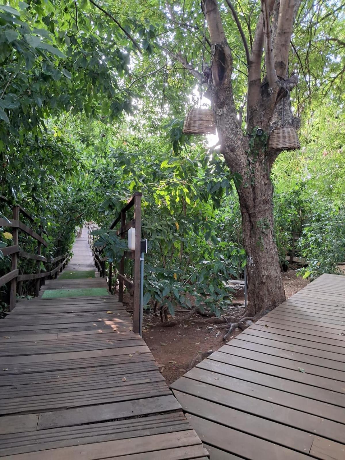 Maiga Pousada- Casa Do Marcelino Fernando de Noronha Eksteriør billede