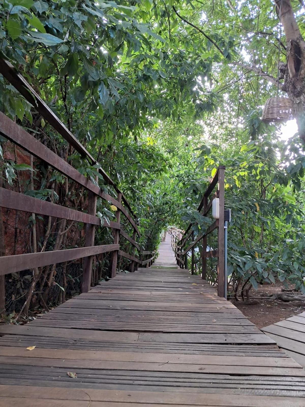 Maiga Pousada- Casa Do Marcelino Fernando de Noronha Eksteriør billede